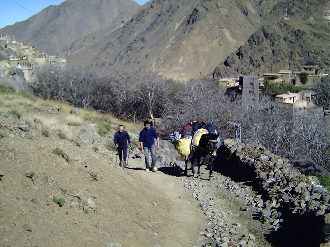 Towards the refuge with the mule