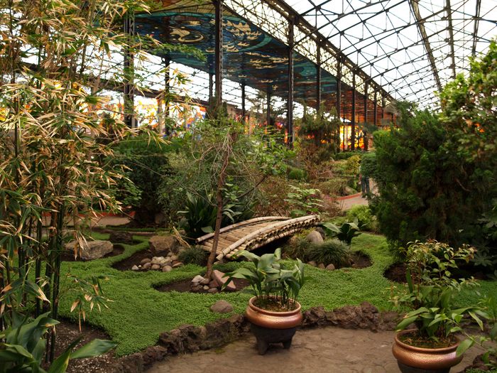 Cosmo Vitral Botanical Garden