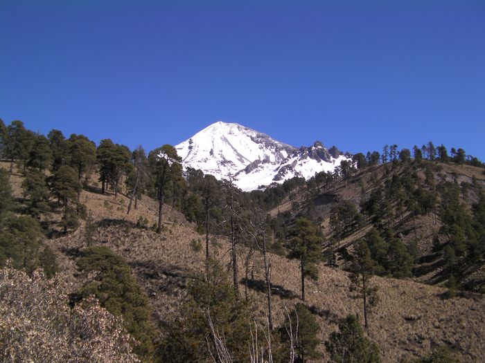 El Pico de Orizaba visto desde la pista que sale de Texmalaquilla